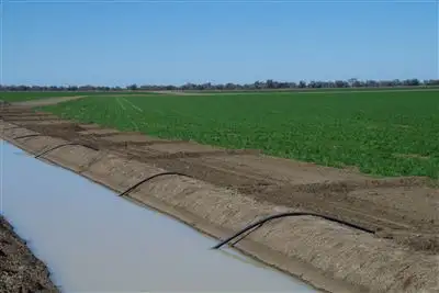 Seventh view of Homely rural property listing, . Gwydir Highway, Collarenebri NSW 2833