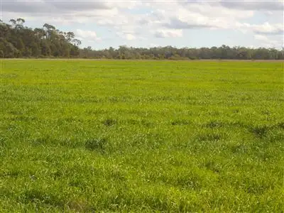 Second view of Homely rural property listing, - Punchs Creek Road, Millmerran QLD 4357