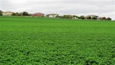 Fifth view of Homely rural property listing, 94 Winspears Road, East Devonport TAS 7310