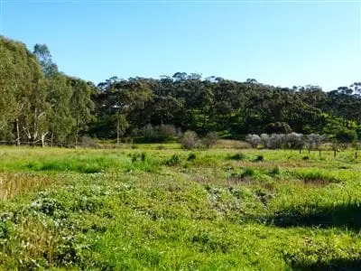 Main view of Homely land listing, 95 Mine Street, Armagh SA 5453