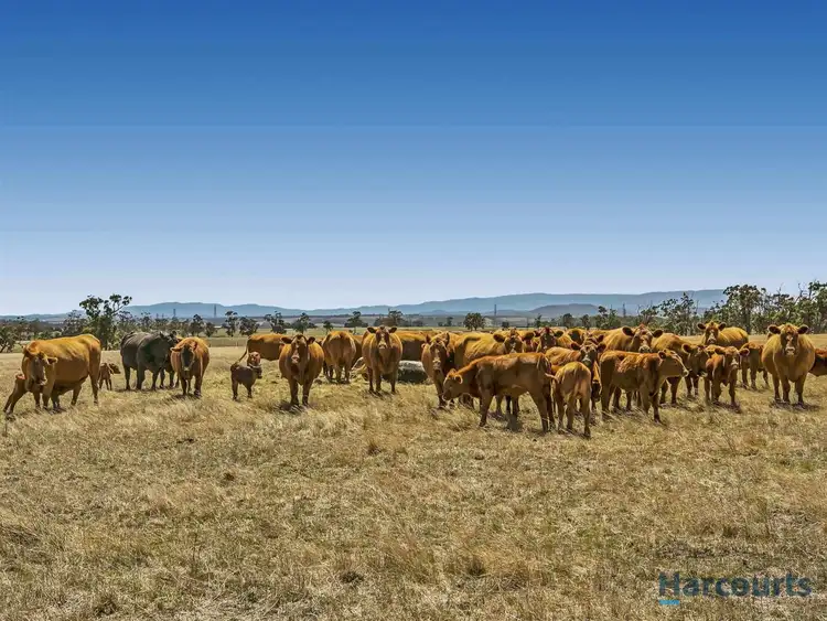 Lot 1 Millers Road, Trafalgar East VIC 3824