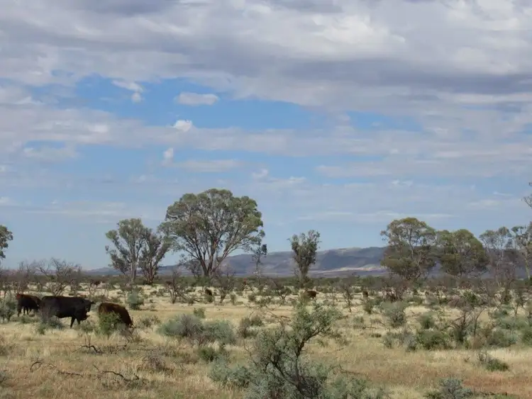 Second view of Homely rural property listing, 2871 Minburra Road, Orroroo SA 5431