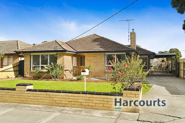 19 Lake Street, Avondale Heights VIC 3034