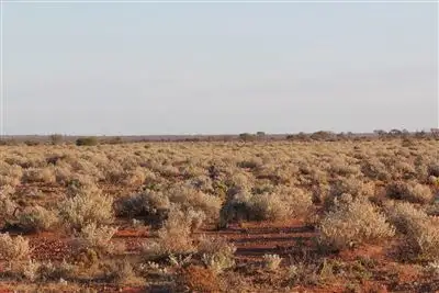 Fifth view of Homely rural property listing, " Ingomar Station", Coober Pedy SA 5723