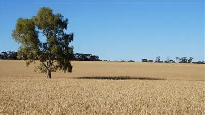 Fifth view of Homely rural property listing, 75 Dalgouring – Snake Soak Rd, Beacon WA 6472