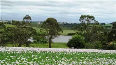 Main view of Homely rural property listing, 94 Winspears Road, East Devonport TAS 7310