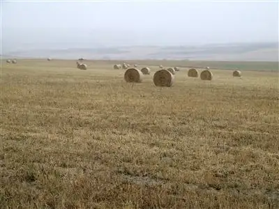 Main view of Homely rural property listing, 386 Hosken Rd, Northampton WA 6535