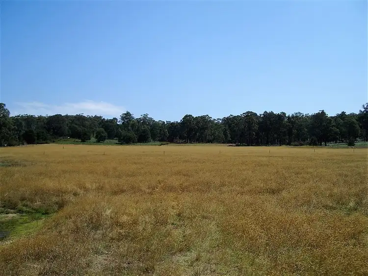Second view of Homely rural property listing, 665 Nicholson Sarsfield Road, Bairnsdale VIC 3875