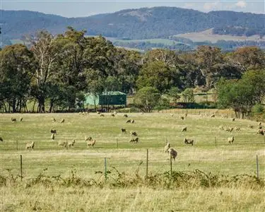 Fifth view of Homely rural property listing, 1680 Euroa - Strathbogie Road, Strathbogie VIC 3666