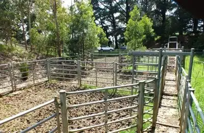 Fifth view of Homely rural property listing, 26 Sheers Road, Mirboo North VIC 3871