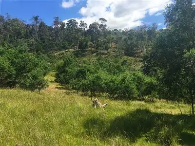 Fifth view of Homely land listing, 90 Gangells Lane, Bagdad TAS 7030