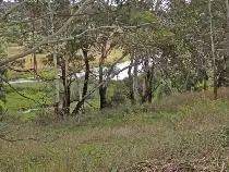 Second view of Homely land listing, 5 Maybe Street, Bombala NSW 2632
