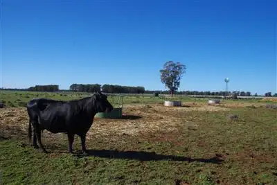 Third view of Homely rural property listing, 283 Ison Road, Narrabri NSW 2390