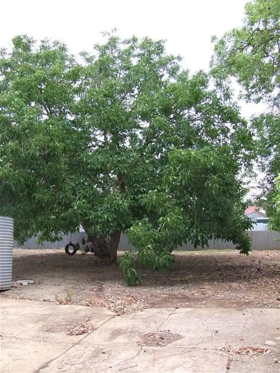 Fifth view of Homely land listing, Lot 106 Ayr Street, Jamestown SA 5491
