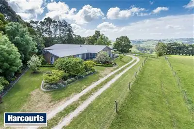 Second view of Homely rural property listing, 25 McIntosh Road, Strzelecki VIC 3950