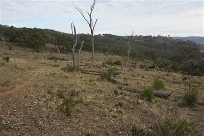 Fourth view of Homely rural property listing, L242/2005 Queens Pinch Road, Meroo, Mudgee NSW 2850