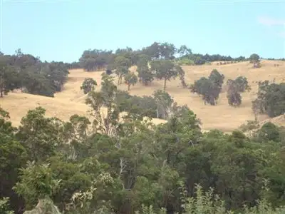 Seventh view of Homely land listing, 5 Mottram Street, Bridgetown WA 6255