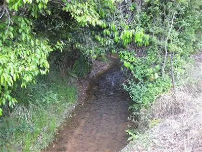 Fifth view of Homely rural property listing, Address available on request