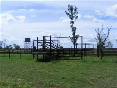 Second view of Homely rural property listing, 1337 Burncluth Hall Road, Burncluith QLD 4413