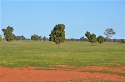 Fifth view of Homely rural property listing, * Kallara, Nyngan NSW 2825