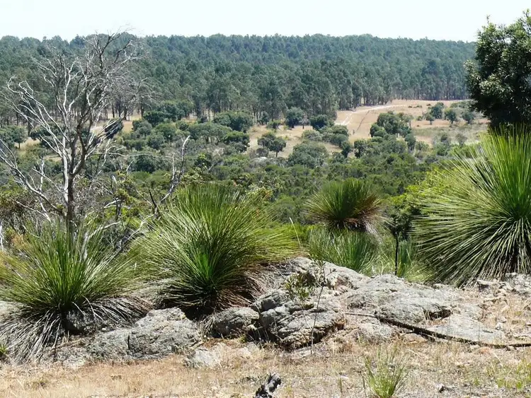 Seventh view of Homely rural property listing, Lot 122 Dempster Road, Esperance WA 6450