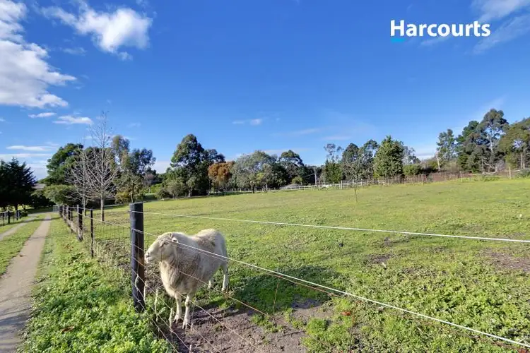 Seventh view of Homely house listing, 6 Drovers Lane, Somerville VIC 3912
