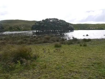 2150 South Road, Pearshape TAS 7256