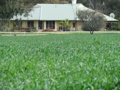 Sixth view of Homely rural property listing, 1134 Ben Halls Road, Forbes NSW 2871