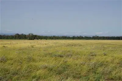 458 Mayfield Road, Baan Baa NSW 2390