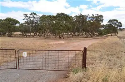 Main view of Homely rural property listing, lot 214 Government Road, Truro SA 5356