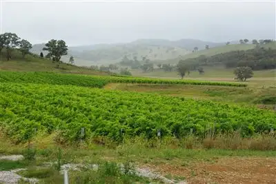 Main view of Homely rural property listing, 380 Horse Flat Lane, Mudgee NSW 2850