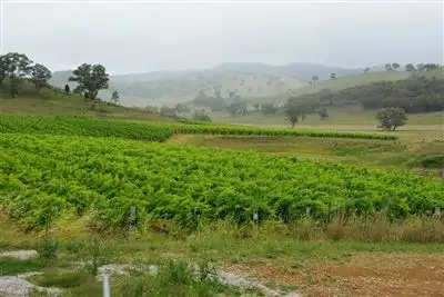 Main view of Homely rural property listing, 380 Horse Flat Lane, Mudgee NSW 2850