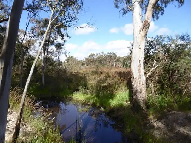 Third view of Homely rural property listing, 4712 Naracoorte Road, Naracoorte SA 5271