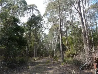 Main view of Homely rural property listing, 481 Priestleys Lane, Birralee TAS 7303