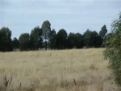 Crn Engi & Fogarty's Roads, Raywood VIC 3570