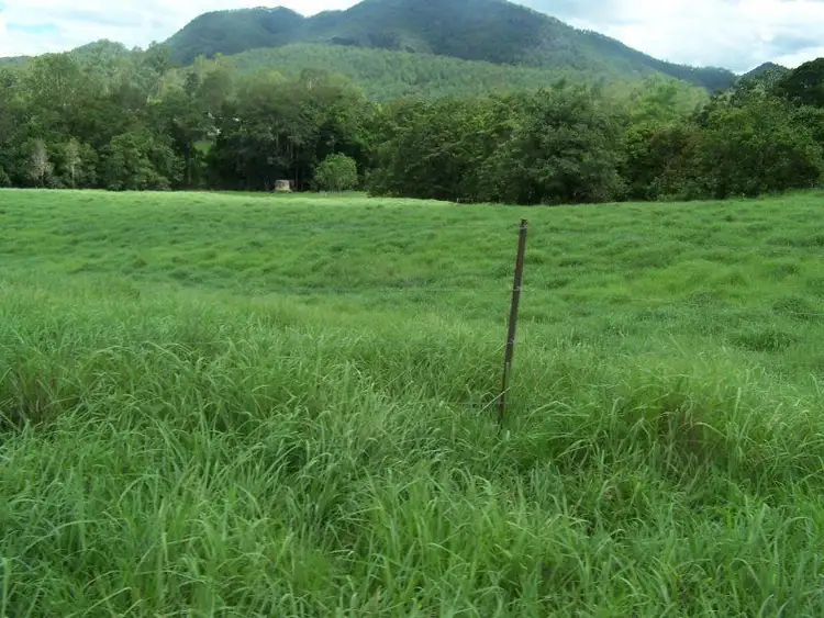 Sixth view of Homely rural property listing, 528 Barron Pocket Road, Calen QLD 4798