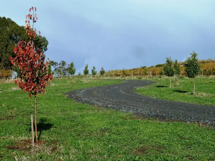 Fourth view of Homely rural property listing, 212 Seaview Road, Mclaren Vale SA 5171