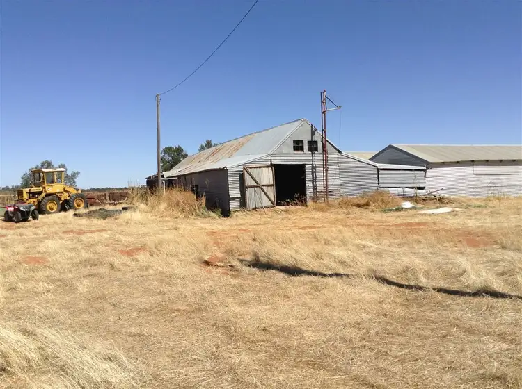 Fifth view of Homely rural property listing, 1214 Booligal Rd VIA Gunbar, Hay NSW 2711
