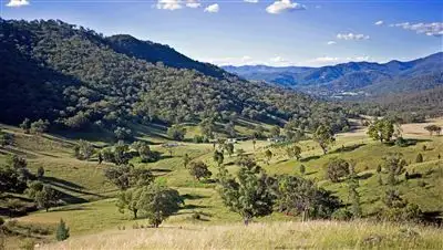 Second view of Homely rural property listing, 318 Spring Creek Road, Tamworth NSW 2340