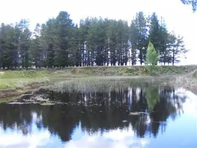 Seventh view of Homely rural property listing, 1417 Shannon Vale Road, Glen Innes NSW 2370
