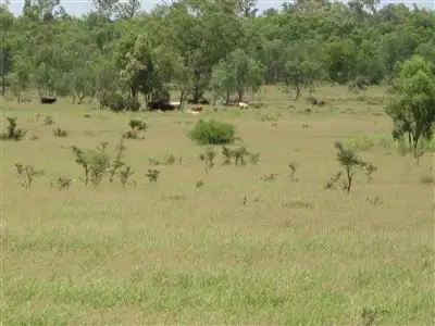 Seventh view of Homely rural property listing, " Jabiru", Emerald QLD 4720
