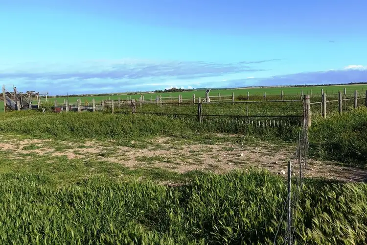 Third view of Homely rural property listing, 24E Spencer Highway, Wauraltee SA 5573
