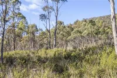 Fourth view of Homely land listing, Lot 1 She Oak Road, Judbury TAS 7109