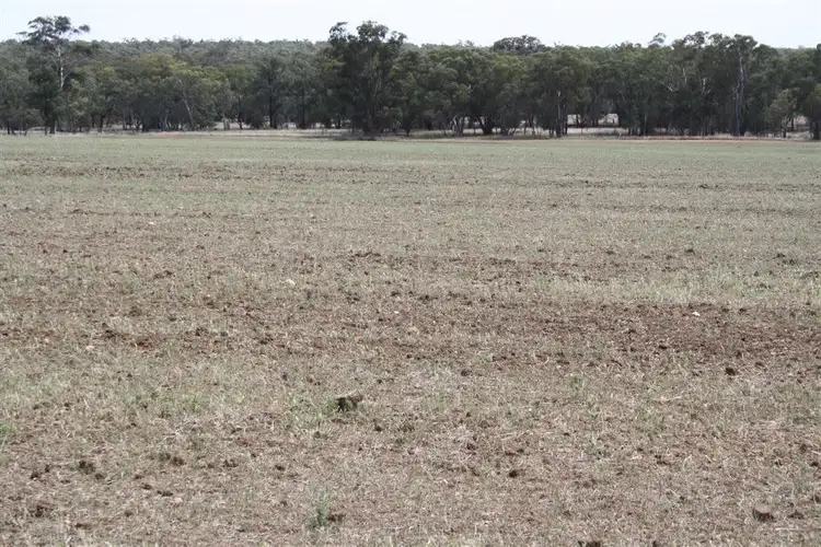 Third view of Homely rural property listing, 621 Flora Reserve road, Gilgandra NSW 2827