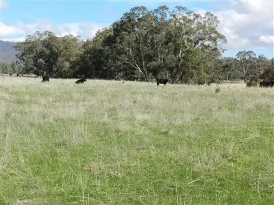 Main view of Homely rural property listing, 1718 Glenlofty-Warrenmang Road, Warrenmang VIC 3478