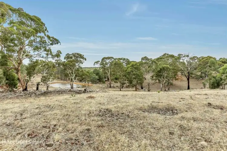 Fifth view of Homely rural property listing, 290B Bassnet Road, Humbug Scrub SA 5114