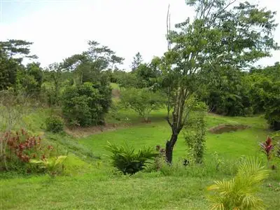 Third view of Homely rural property listing, Address available on request