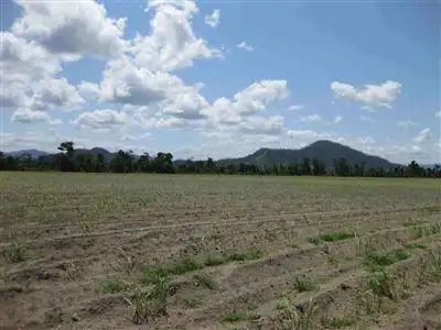 Fifth view of Homely rural property listing, Address available on request