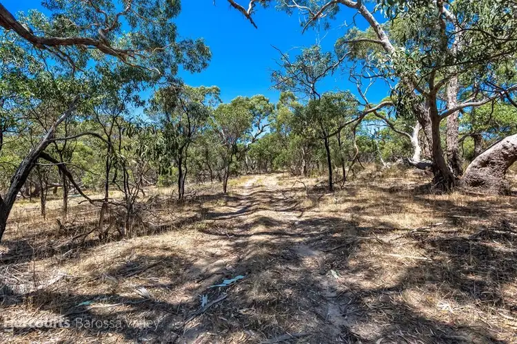 Second view of Homely rural property listing, 597 Rifle Range Road, Flaxman Valley SA 5235