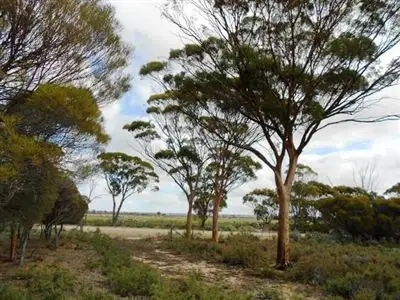 Fourth view of Homely rural property listing, Address available on request